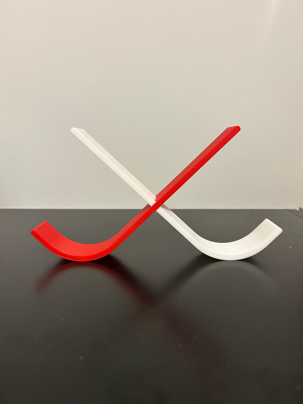 Hockey Puck Display