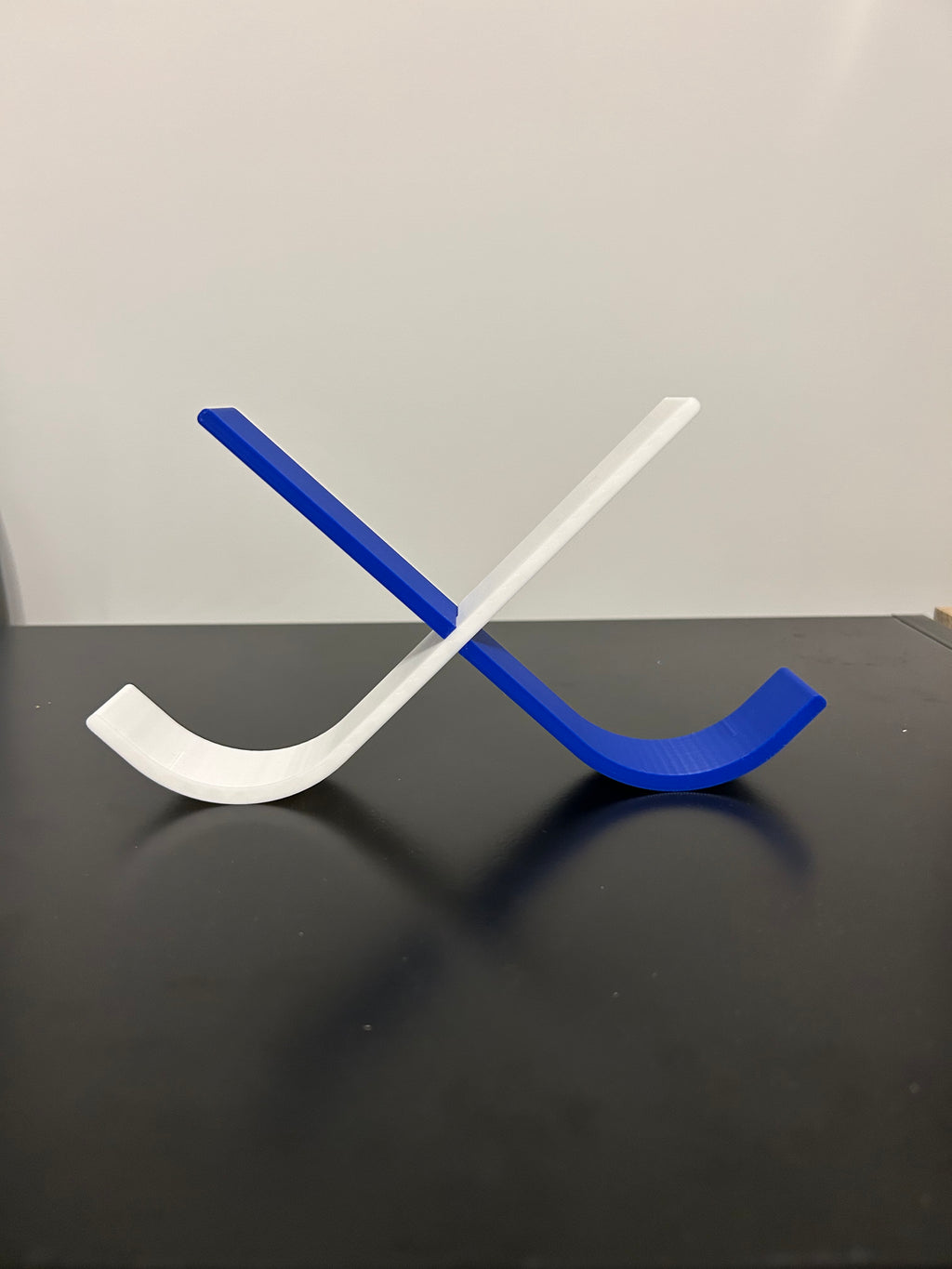Hockey Puck Display